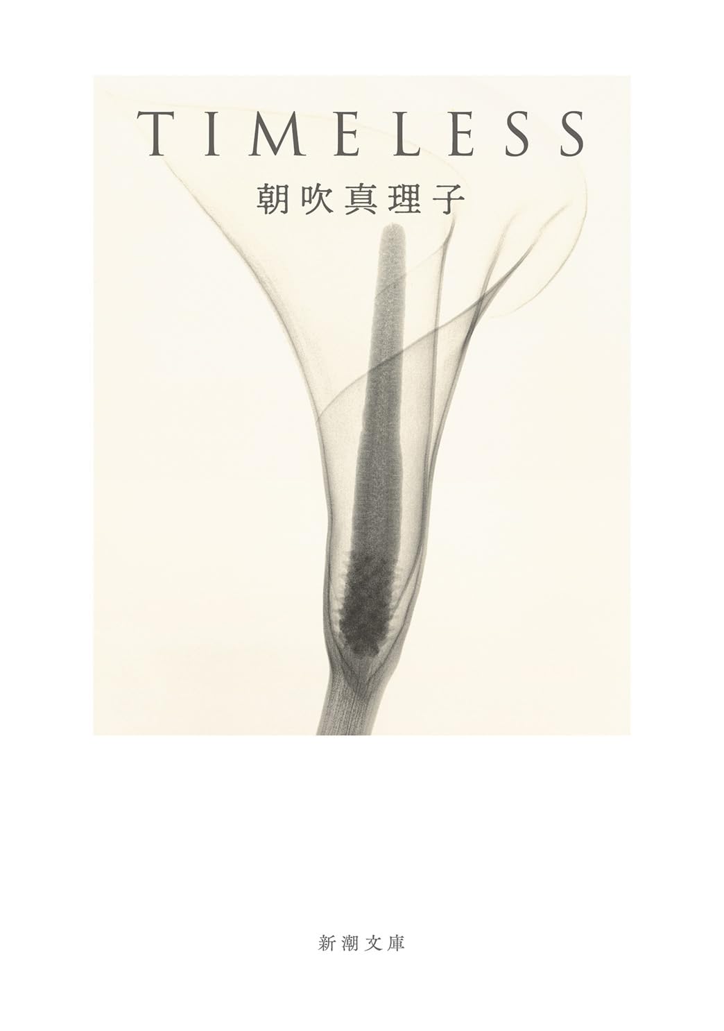 朝吹真理子 TIMELESS 小説