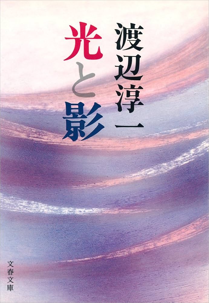 渡辺淳一 光と影 小説