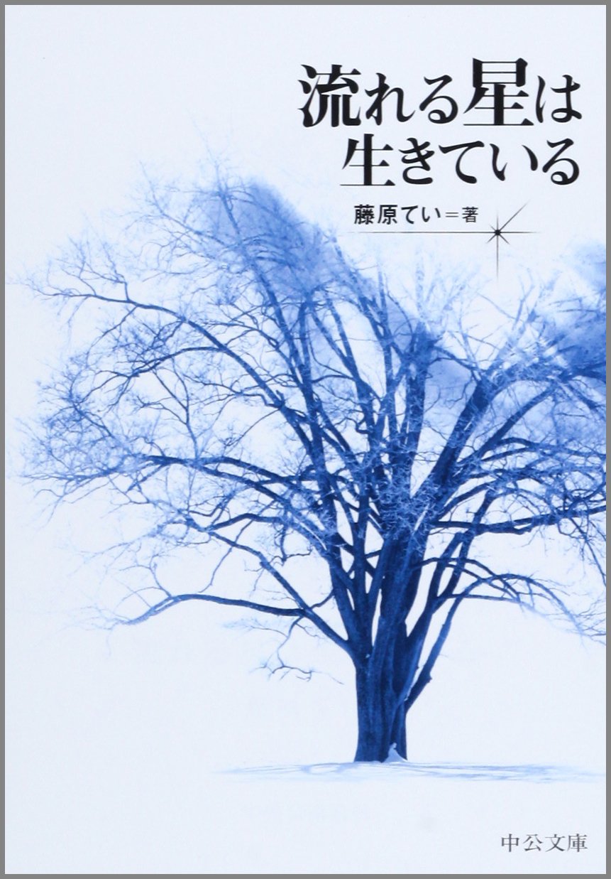 流れる星は生きている 藤原てい 小説