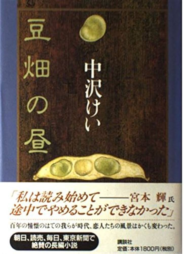 中沢けい 豆畑の昼 小説