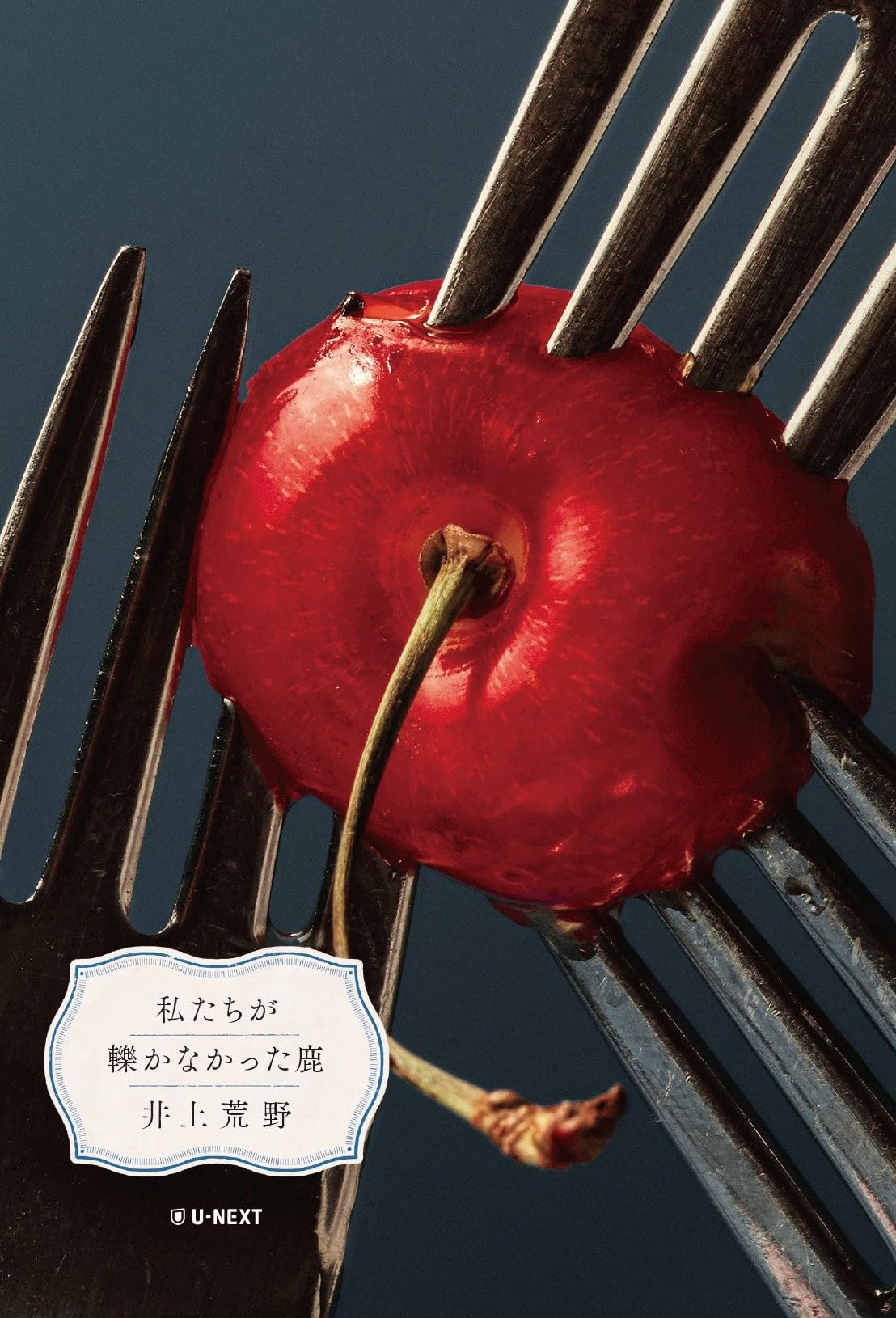 井上荒野 わたしたちの誰かが 小説
