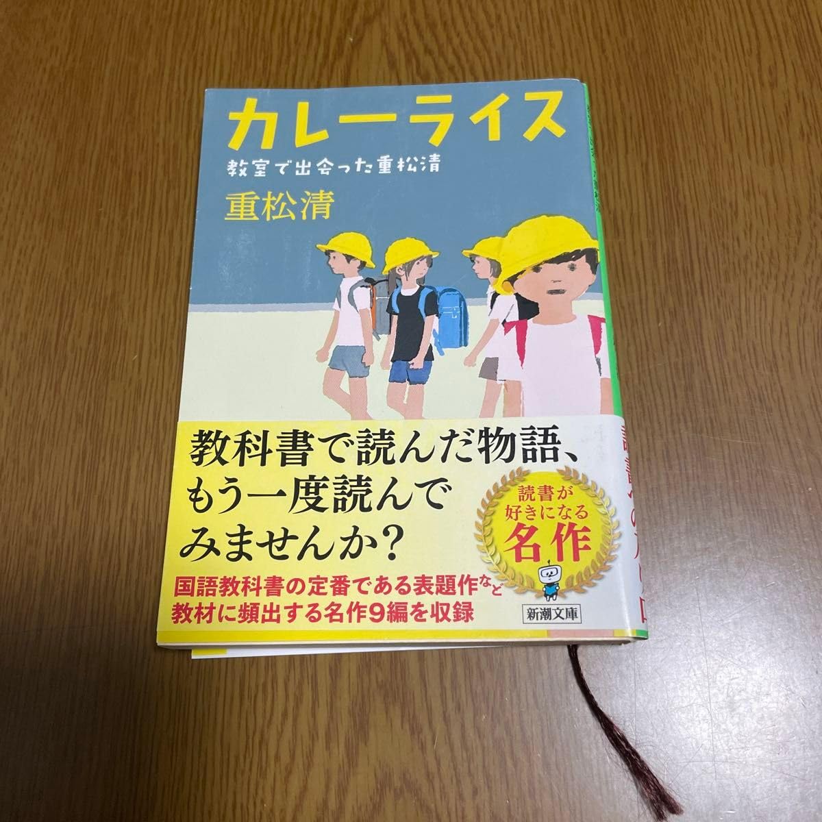 重松清 カレーライス 絵本 小説