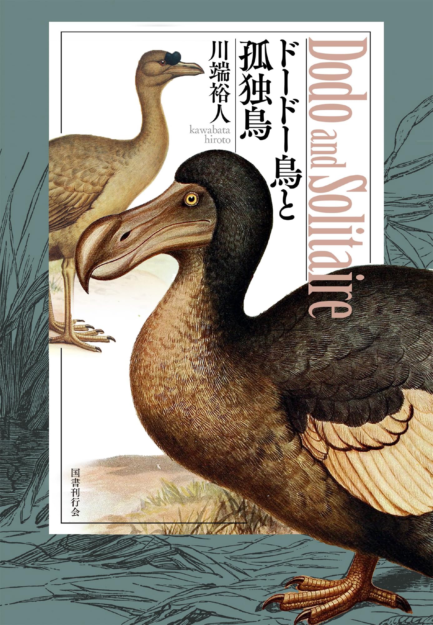 ドードー鳥と孤独鳥 川端裕人 小説