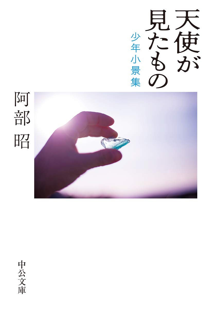 阿部昭 天使が見たもの 少年小景集 小説