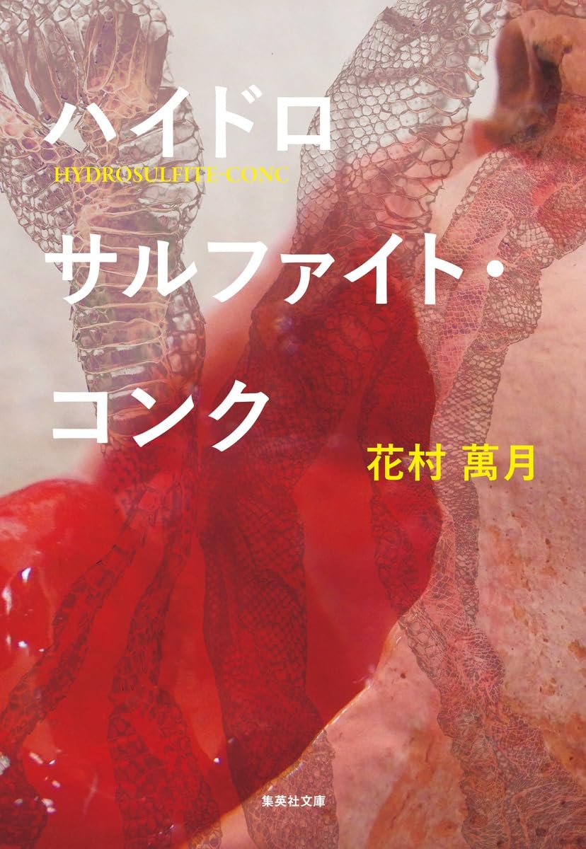 花村萬月 ハイドロサルファイト・コンク 小説