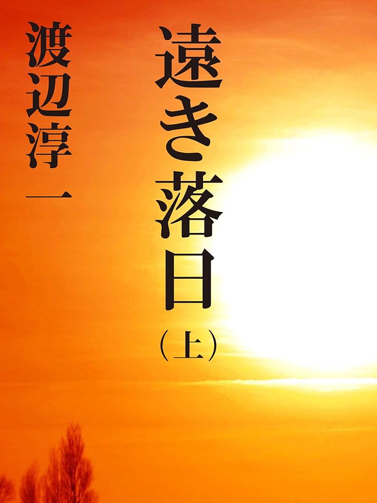 渡辺淳一 遠き落日 小説