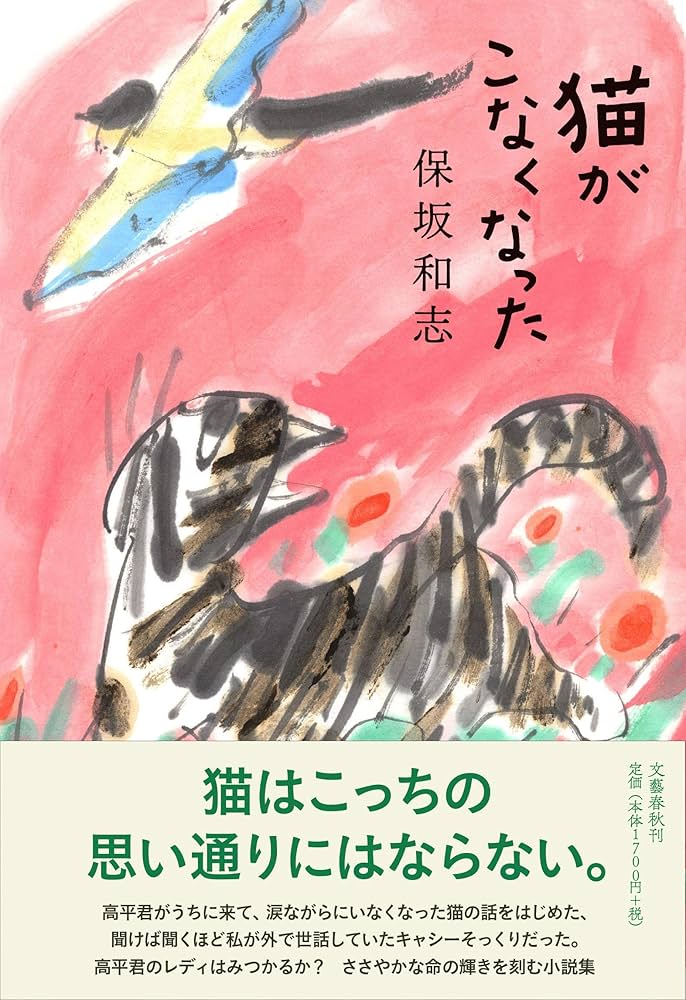 保坂和志 猫がこなくなった 小説