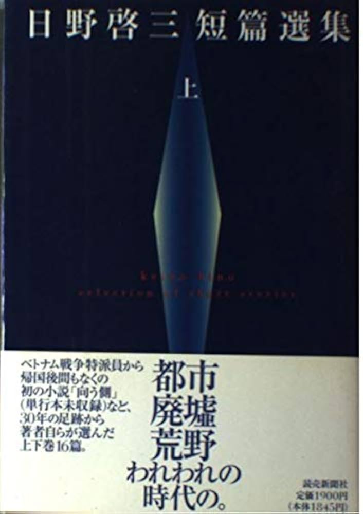日野啓三 向う側 小説