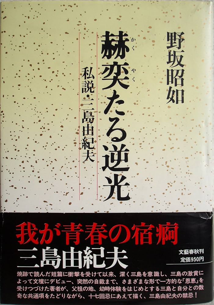 野坂昭如 赫奕たる逆光 小説