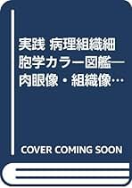 石川利光 女の緑地 小説