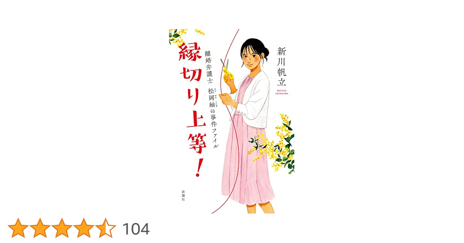 新川帆立 縁切り上等! 離婚弁護士 松岡紬の事件ファイル 小説