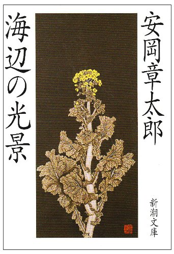 安岡章太郎 海辺の光景 小説