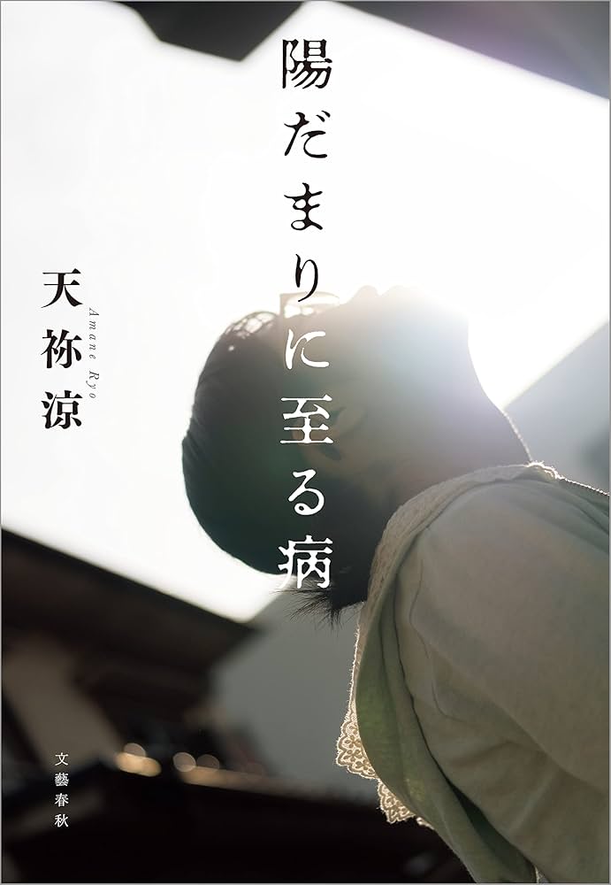 天祢涼 陽だまりに至る病 小説