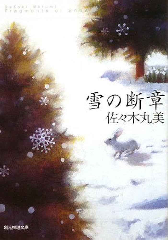 佐々木丸美 雪の断章 小説