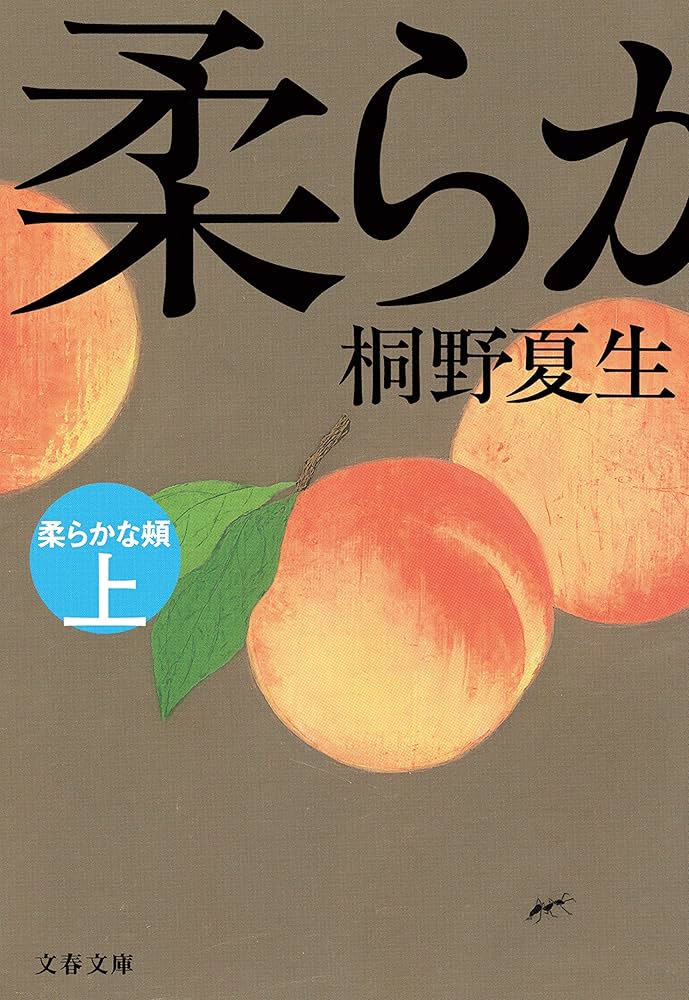 桐野夏生 柔らかな頬 小説
