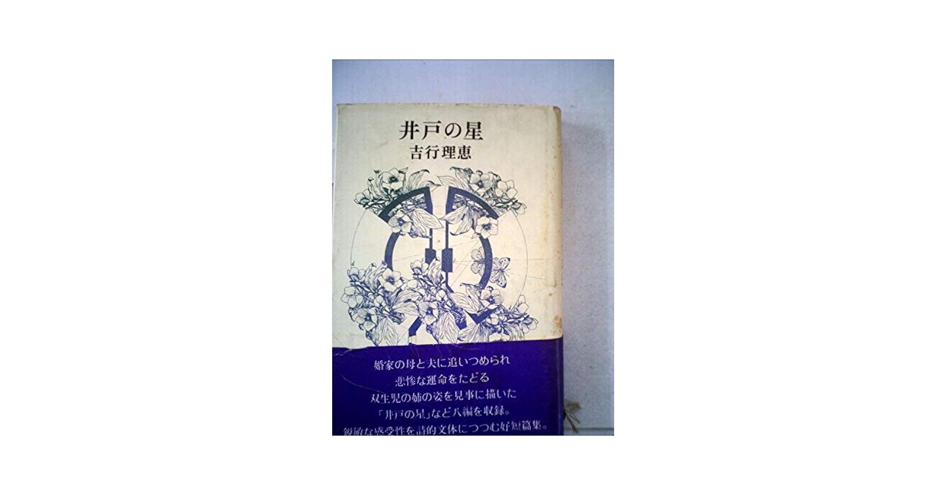 吉行理恵 井戸の星 小説