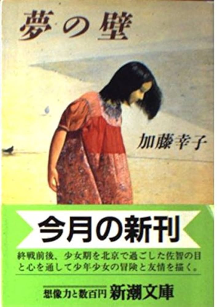 加藤幸子 夢の壁 小説