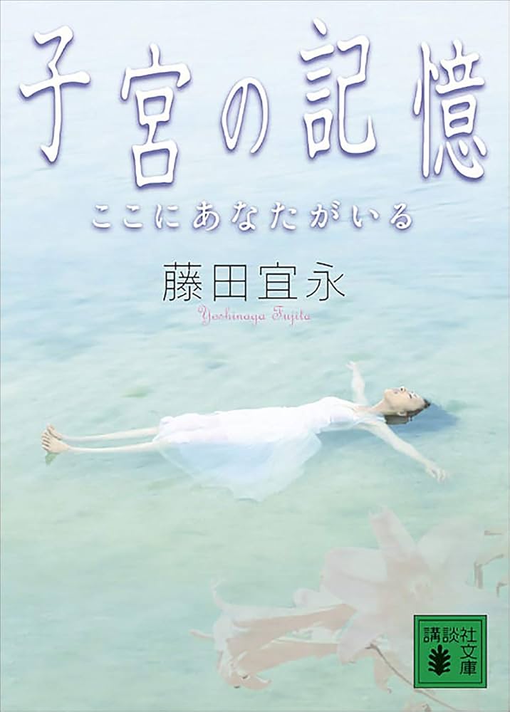 藤田宜永 子宮の記憶 ここにあなたがいる 小説