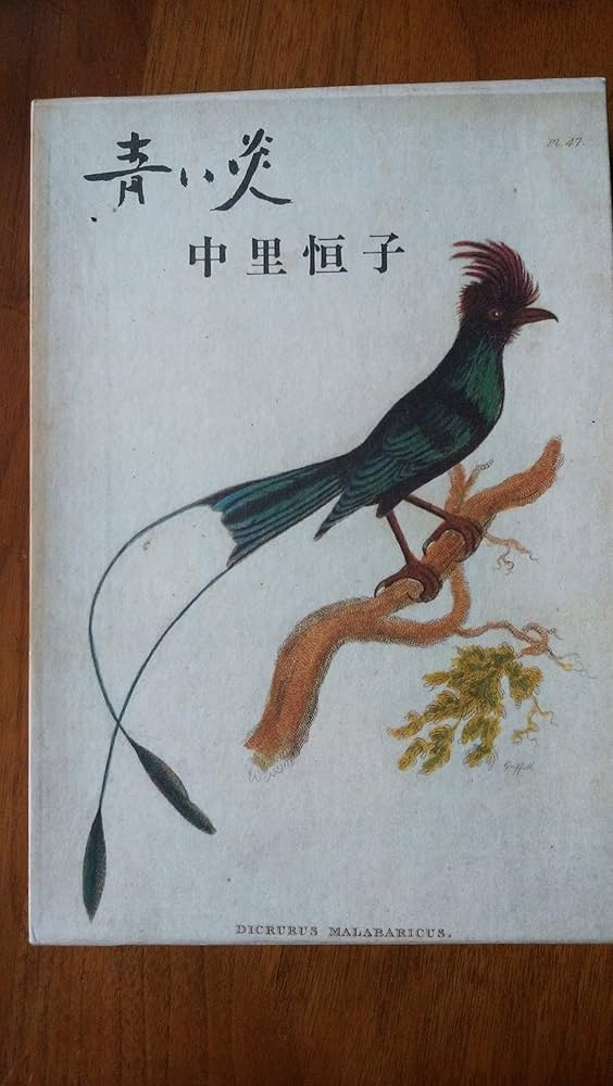 中里恒子 青い炎 小説