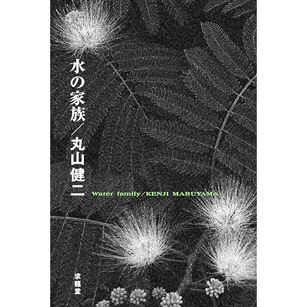 丸山健二 雨のドラゴン 小説