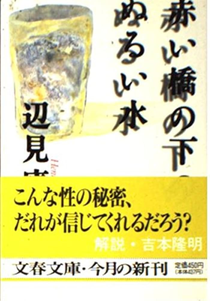 辺見庸 赤い橋の下のぬるい水 小説