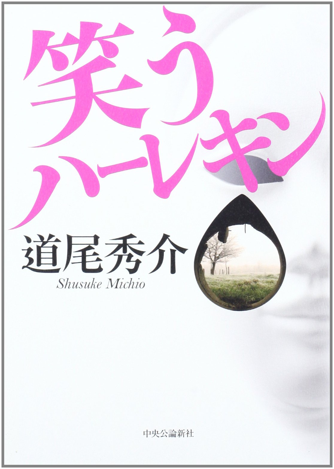 道尾秀介 笑うハーレキン 小説