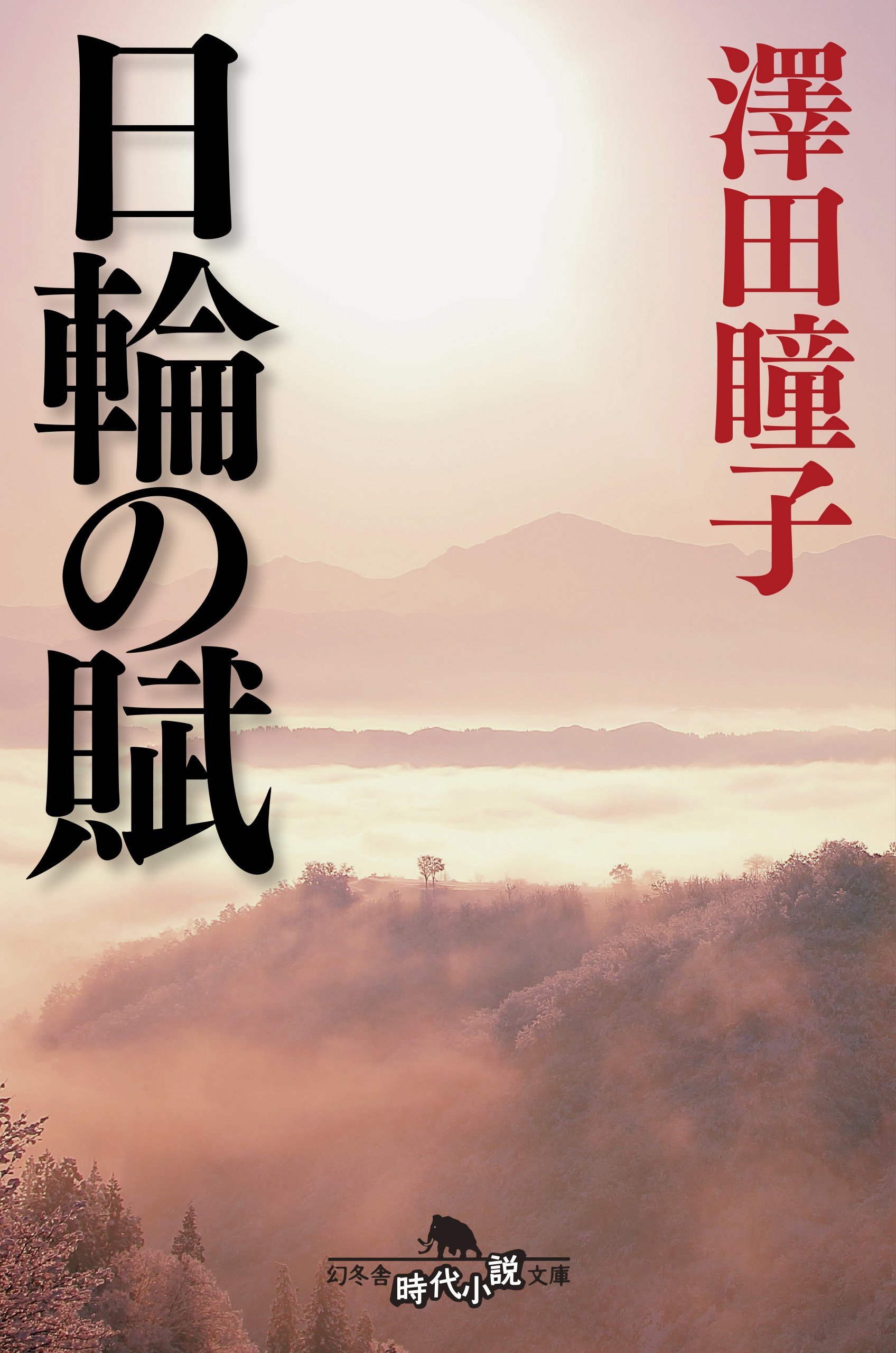 澤田瞳子 日輪の賦 小説