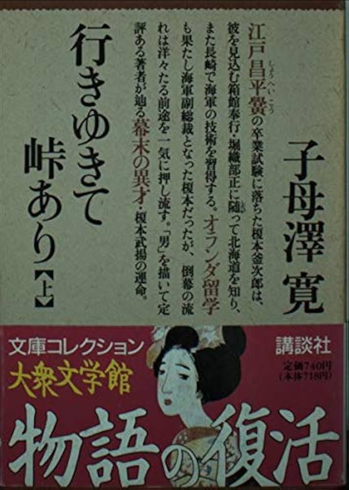 子母澤寛 行きゆきて峠あり 小説