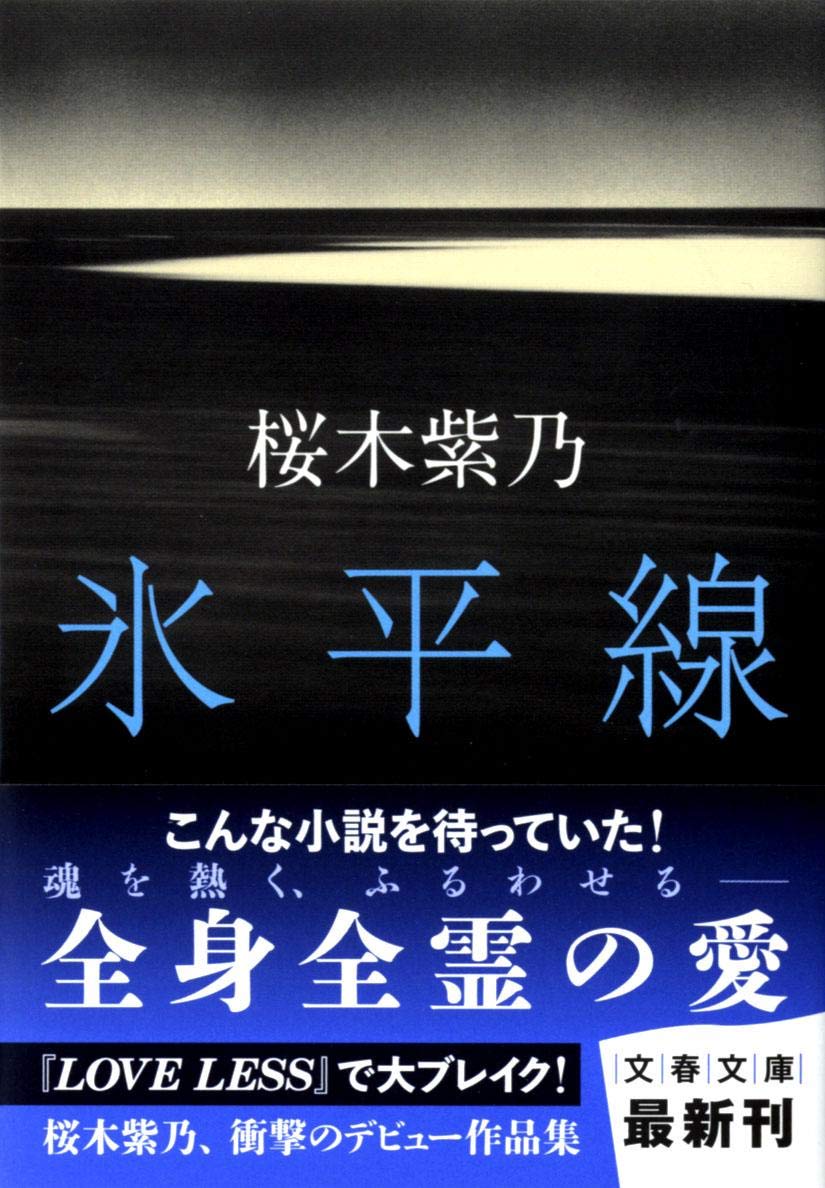 桜木紫乃 氷平線 小説