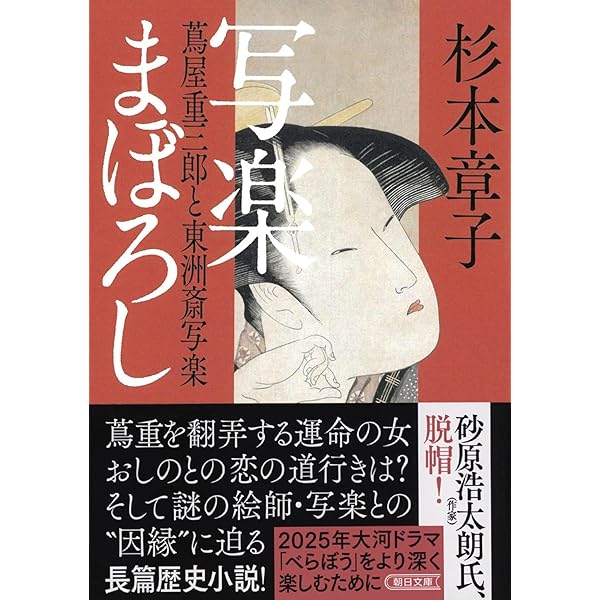 杉本章子 銀河祭りのふたり 小説