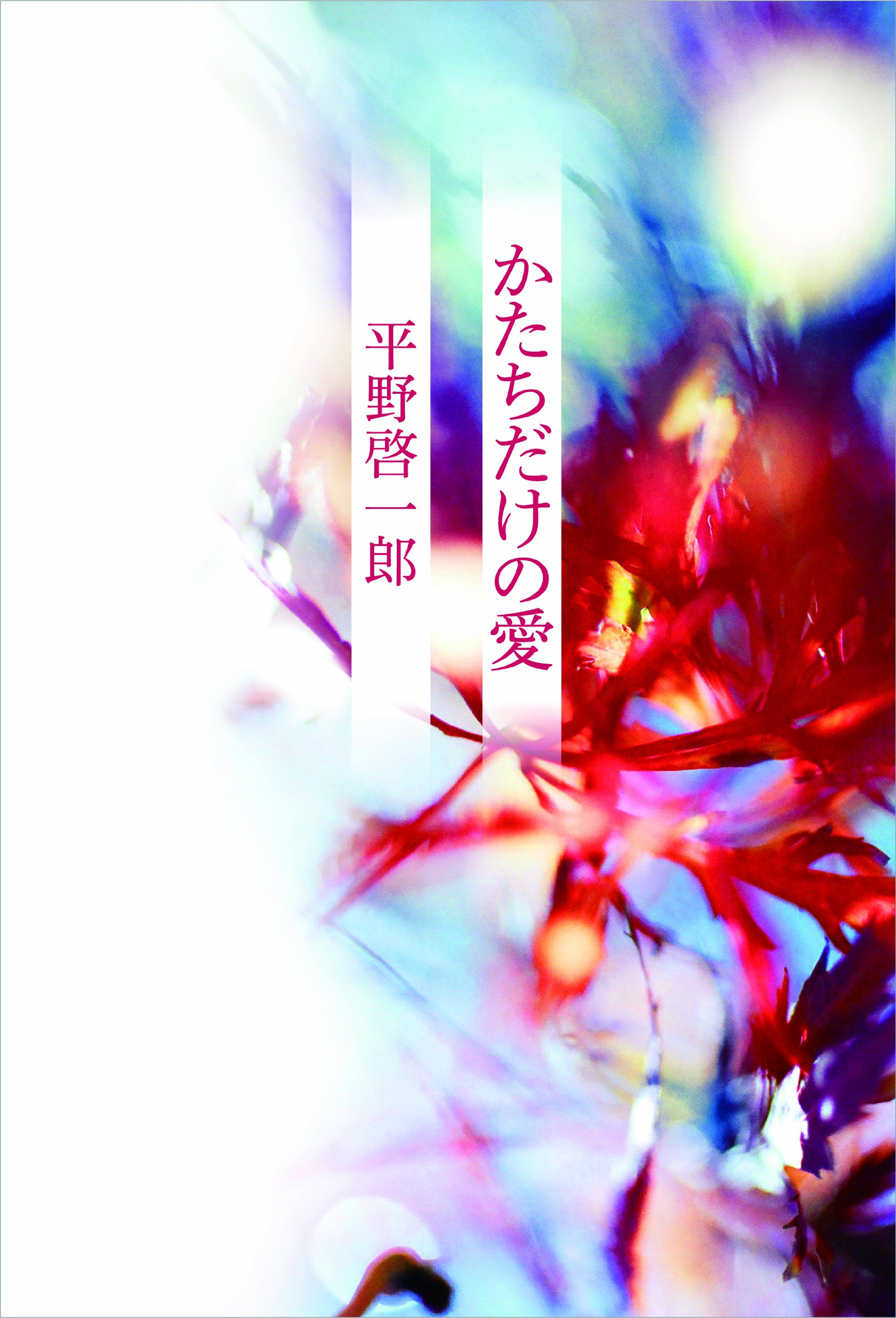 平野啓一郎 かたちだけの愛 小説