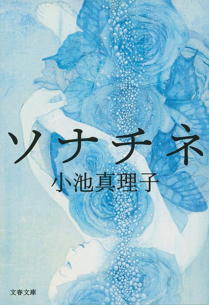 小池真理子 ソナチネ 小説