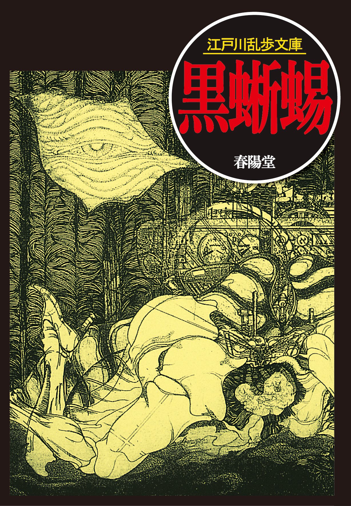 江戸川乱歩 黒蜥蜴 小説