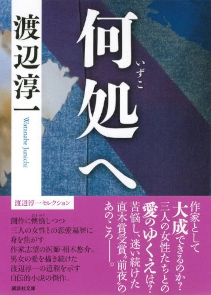 渡辺淳一 何処へ 小説