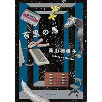 高山羽根子 如何様 小説
