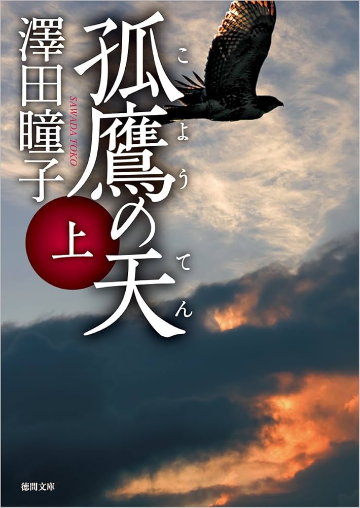 澤田瞳子 孤鷹の天 小説