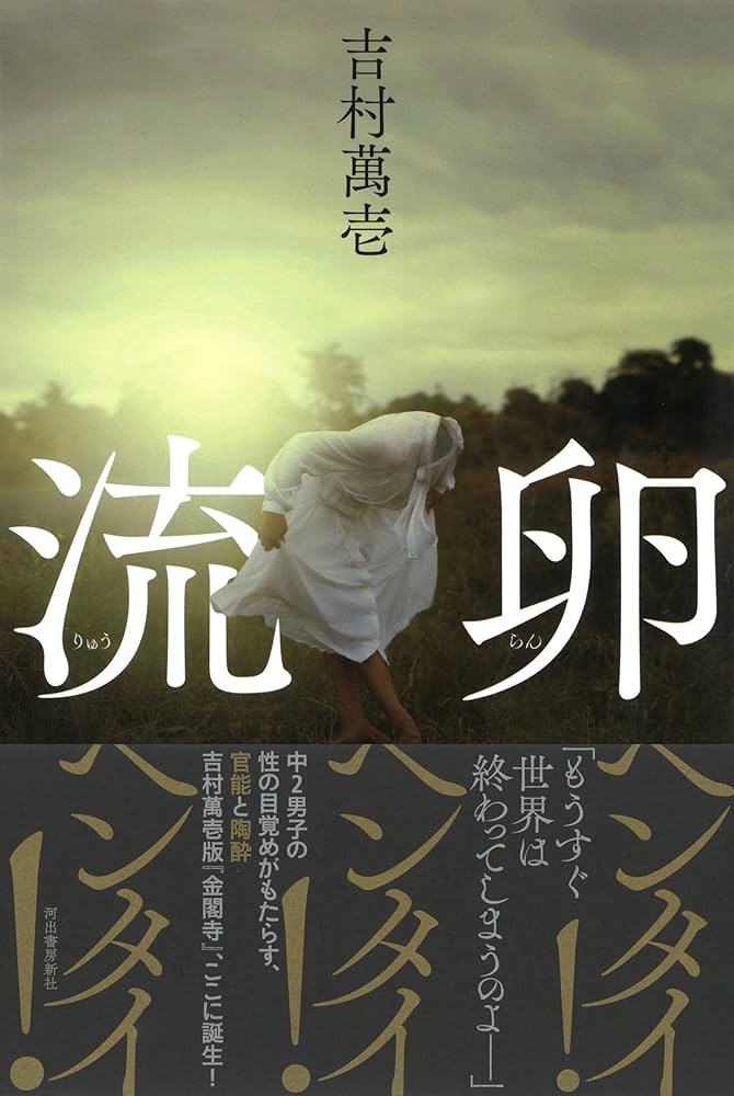 吉村萬壱 流卵 小説