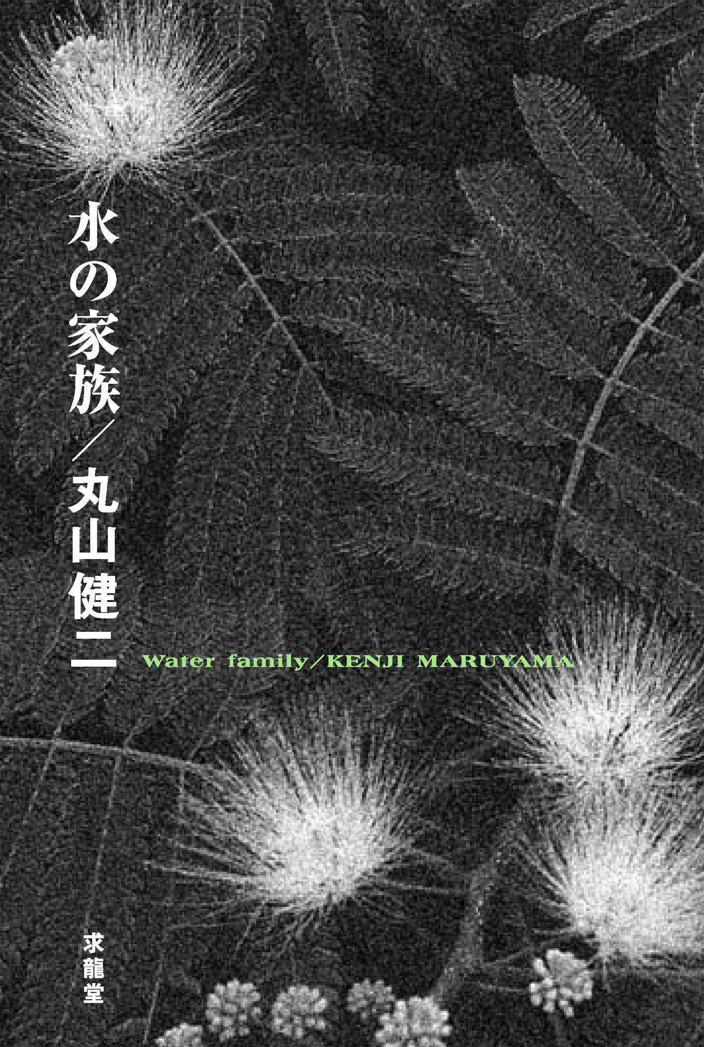 丸山健二 水の家族 小説