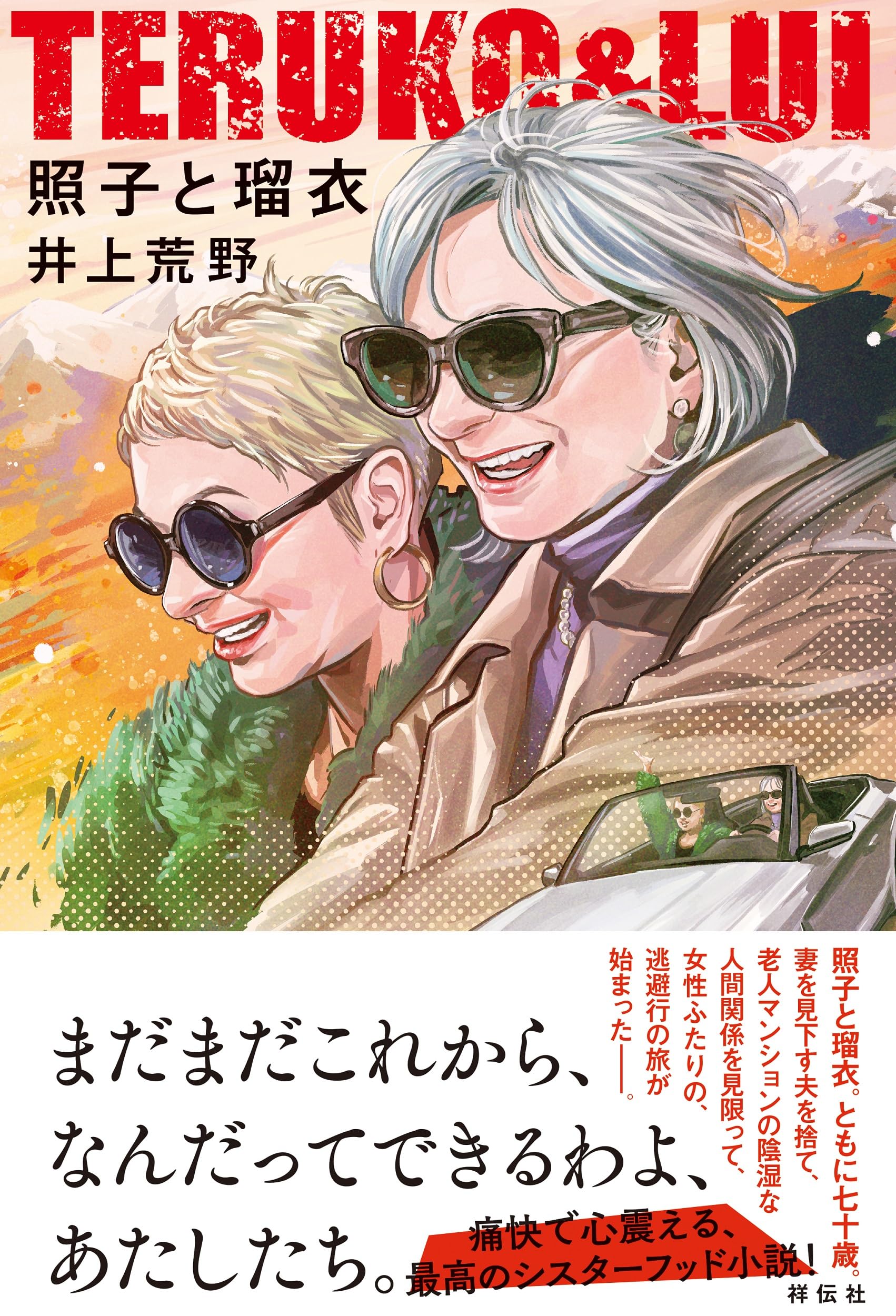 井上荒野 照子と瑠衣 小説