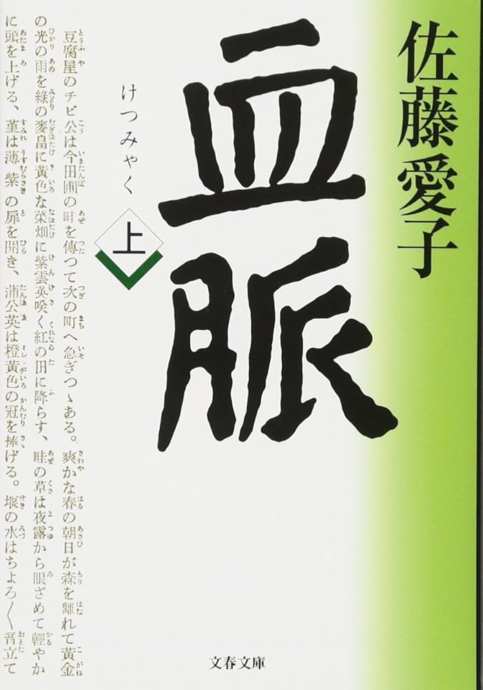 佐藤愛子 血脈 小説