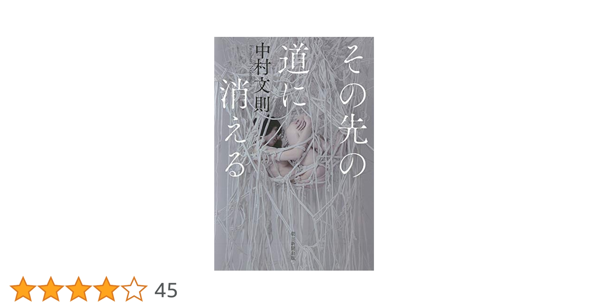 中村文則 その先の道に消える 小説