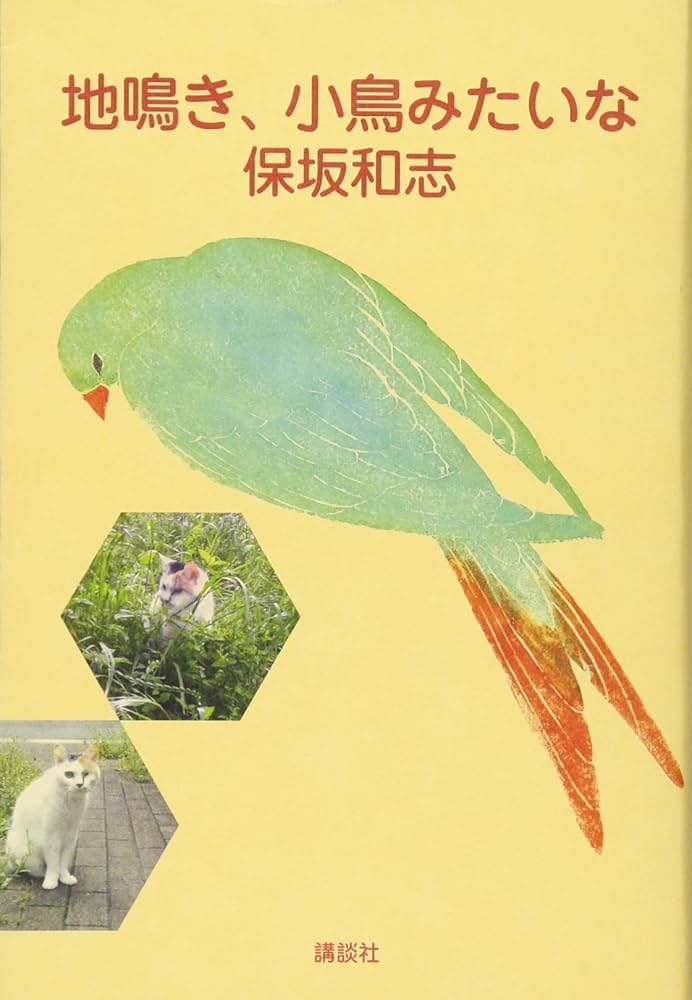 保坂和志 地鳴き、小鳥みたいな 小説