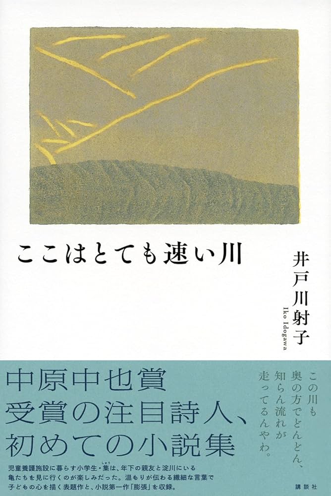 井戸川射子 ここはとても速い川 小説