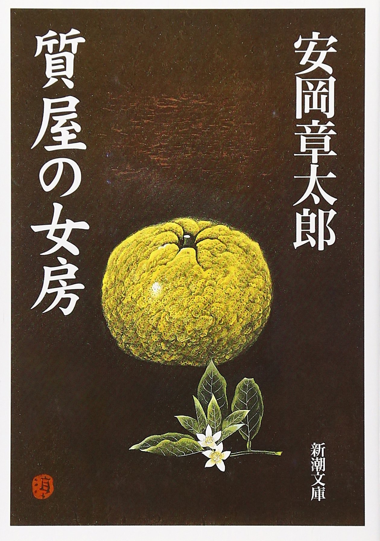 安岡章太郎 質屋の女房 小説