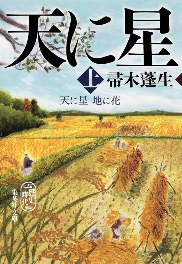 帚木蓬生 天に星 地に花 小説