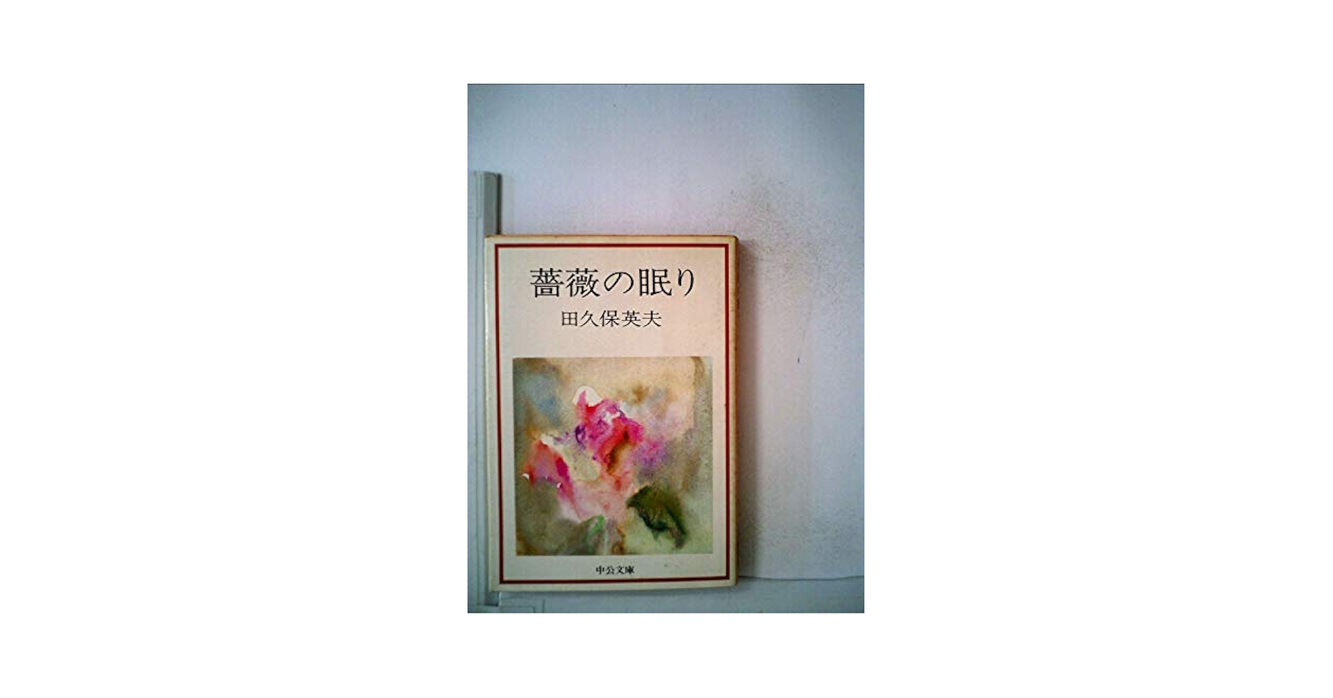 田久保英夫 薔薇の眠り 小説