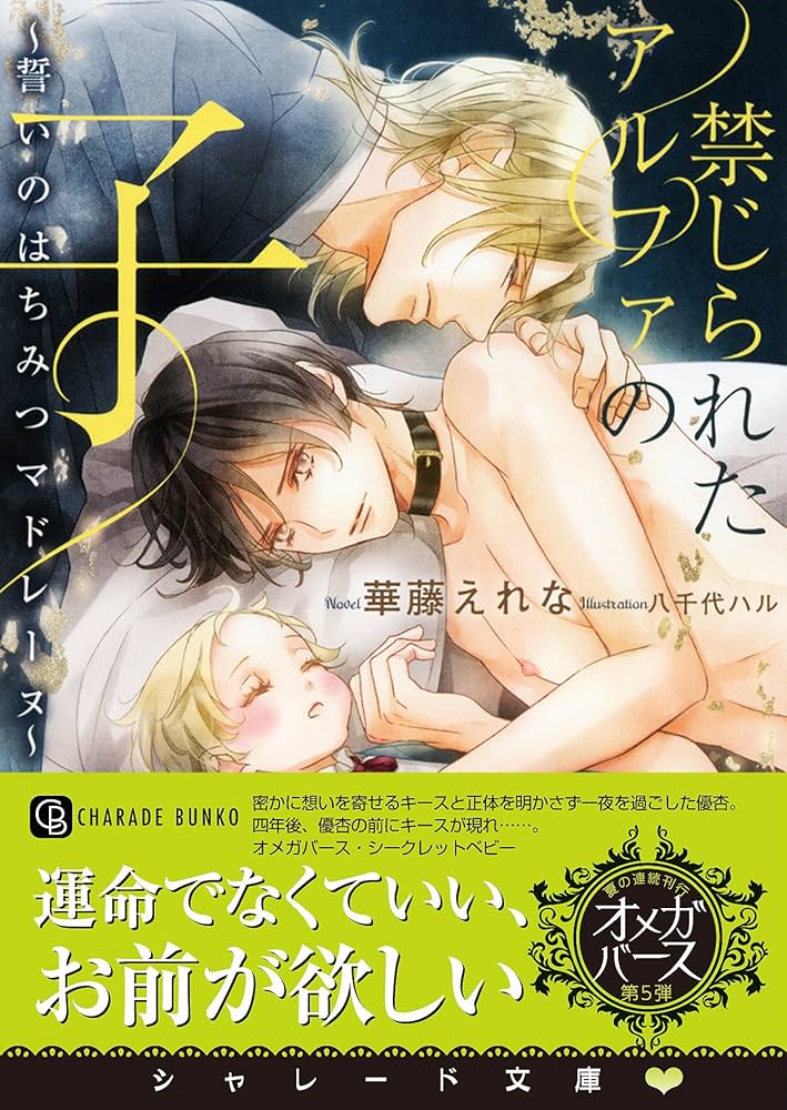 禁じられたアルファの子 華藤えれな 小説