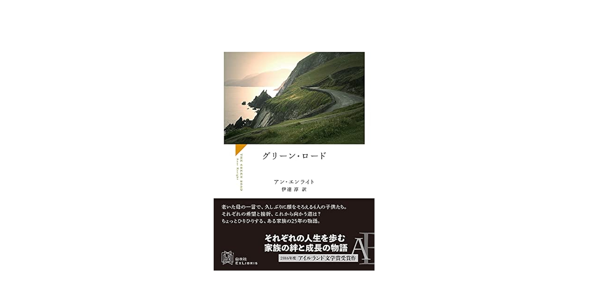 アン・エンライト グリーン・ロード アイルランド文学賞 小説