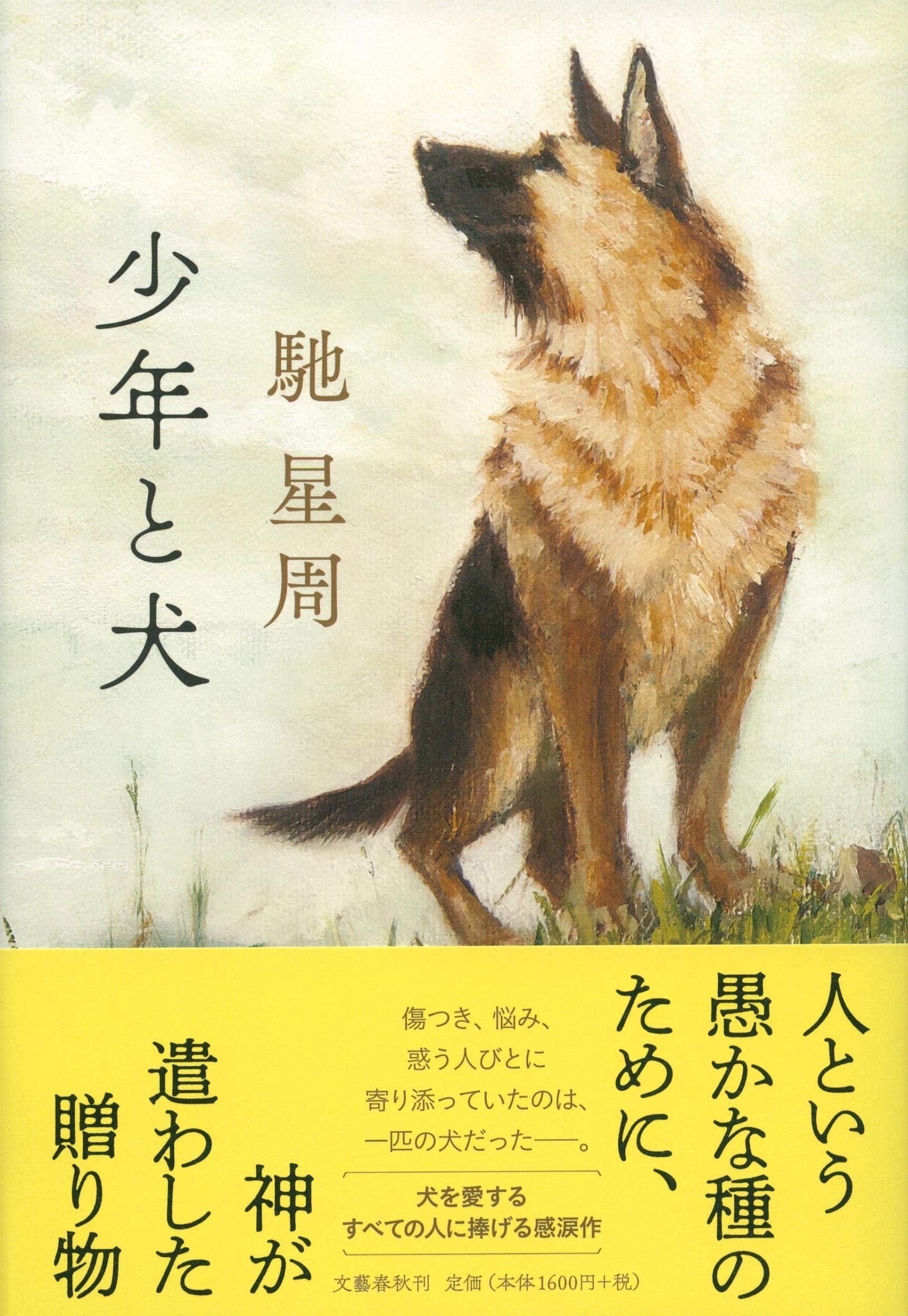 少年と犬 馳星周 小説