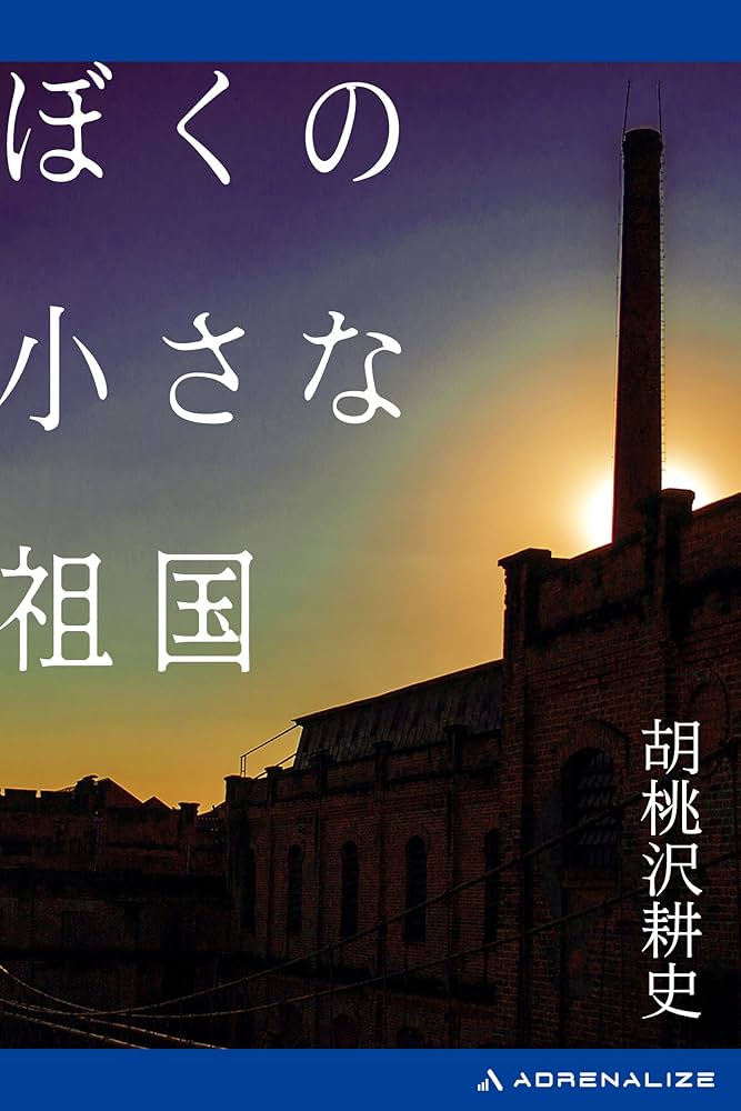 ぼくの小さな祖国 小説